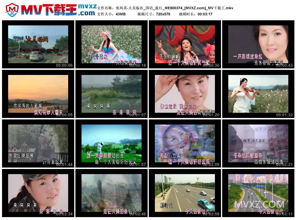 张凤英-大美临沂_国语_流行_ME800374